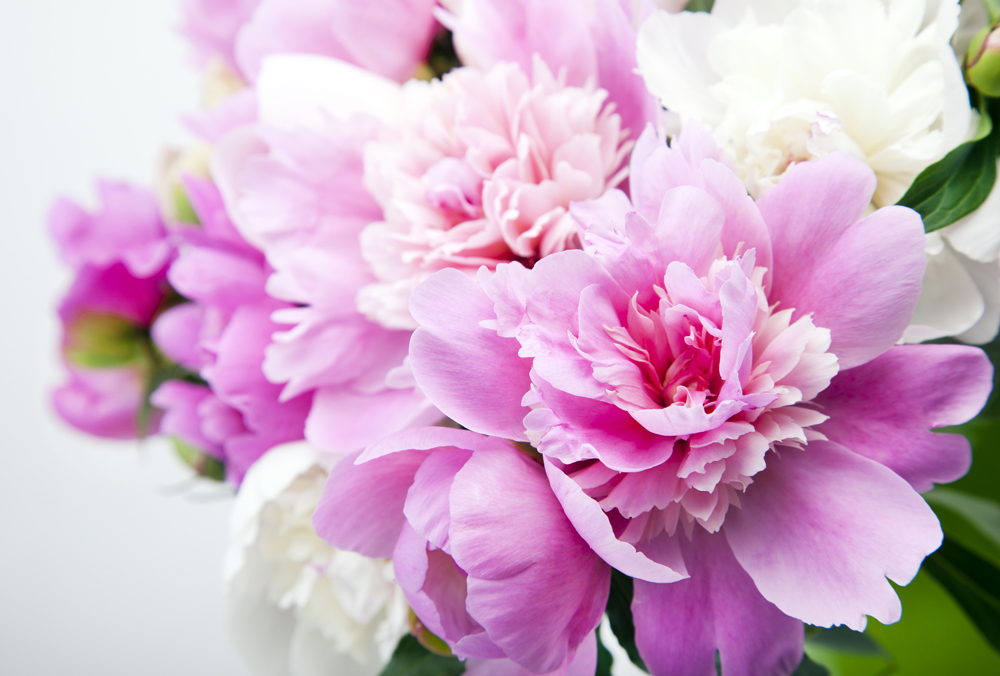 Flower Bouquet Pink
